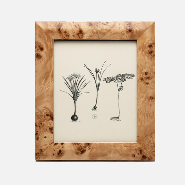 Narvik Frame