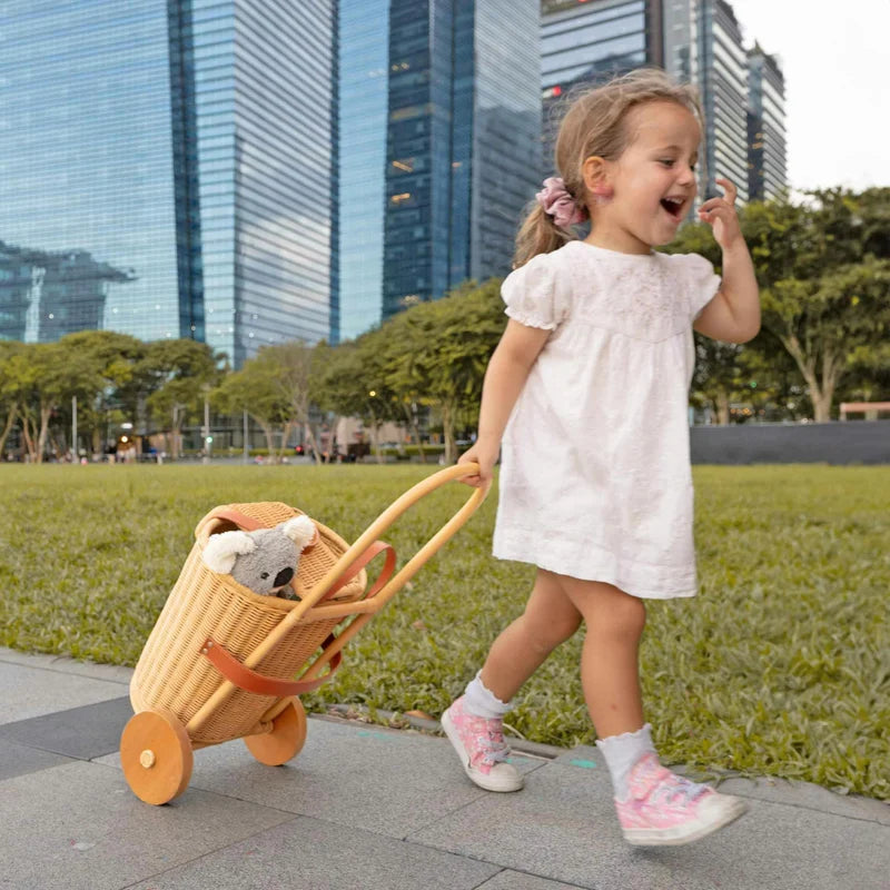 Eric Kids Shopping Trolley