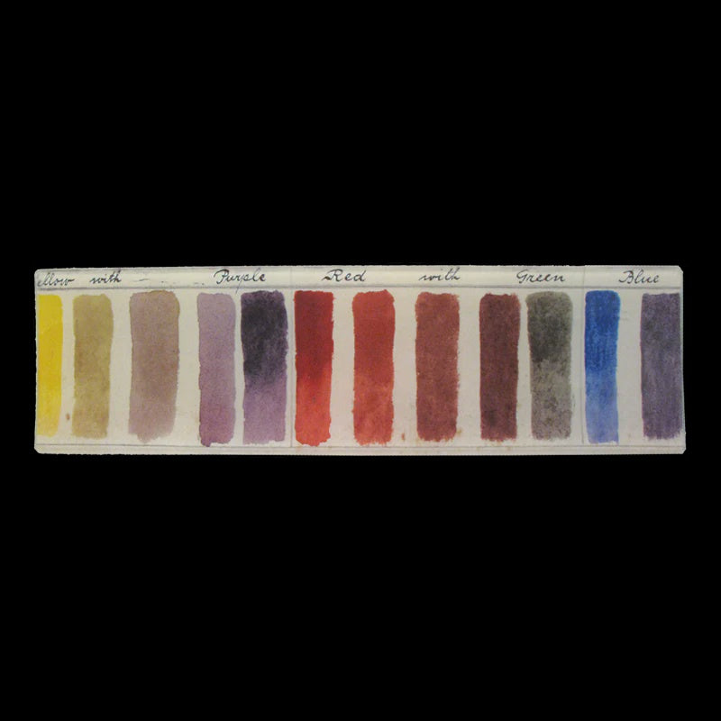 Color Key 3.5x12" Rectangle Tray