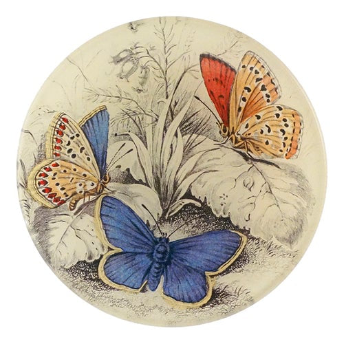 Copper & Common (Blue Butterflies Entomology) 4" Round