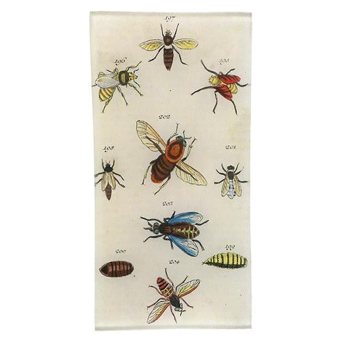 Bees & Bugs Rectanglular Tray