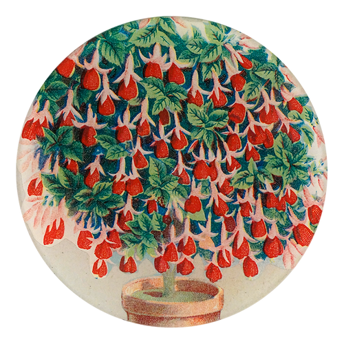 Scrapbook Fuchsia 5 3/4" Round