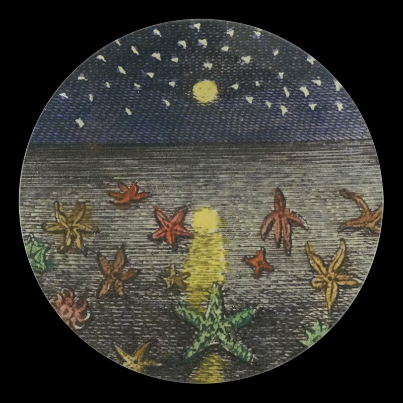 Starfish at Night 5 3/4" Round