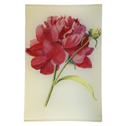 Peony 3 6 x 9" Rect. Tray