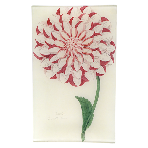 Harris's Dahlia 7x11.5" Rectangular Tray