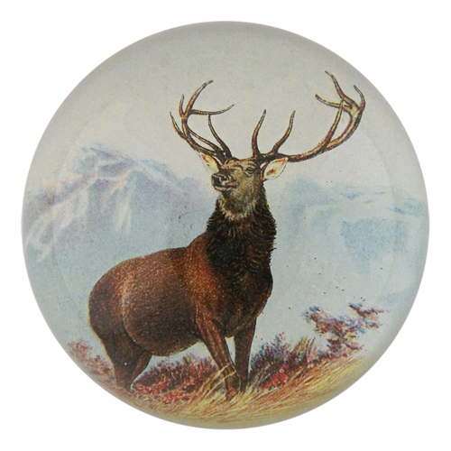 Stag in Grass Dome Paperweight