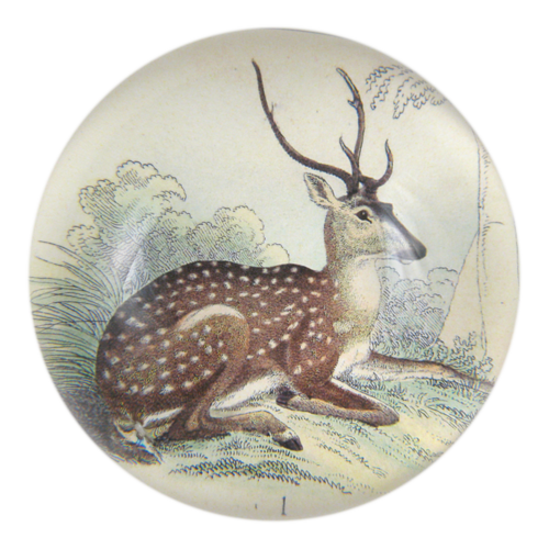 Sitting Deer Dome Paperweight