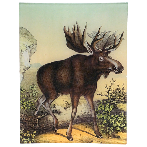 Coco Moose C. 8x10.5" Rect. Tray