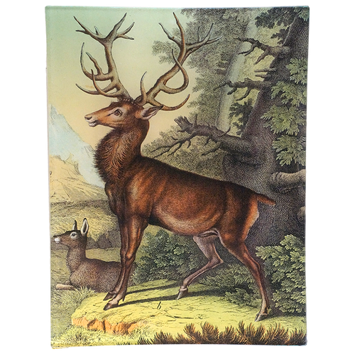 Deer B. 8x10.5" Rect. Tray