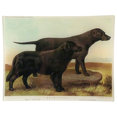 Retrievers (Black) 8x10.5" Rect. Tray