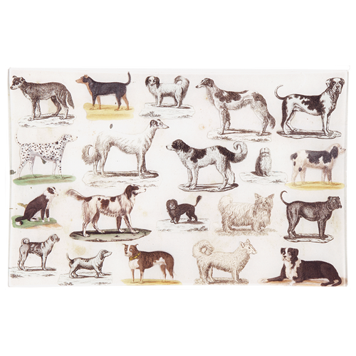 Dog Run Letter Tray 9x14"