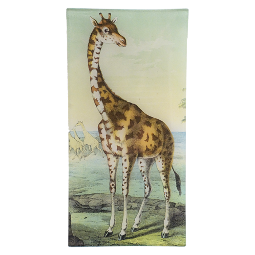 Giraffe 6x12" Pencil Tray