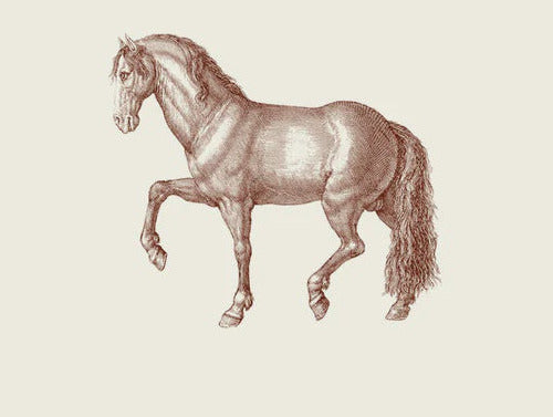 Prancing Horse Long Pad