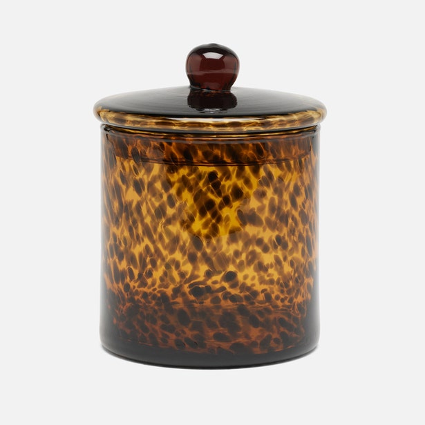 Darby Tortoise Canister