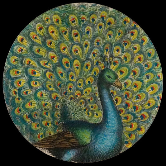 Coy Peacock 16" Round
