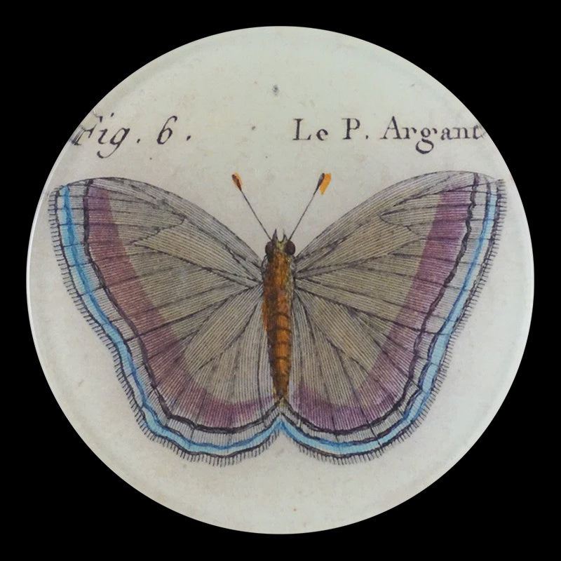 Fig. 6 Argante Butterfly 4" Round Plate