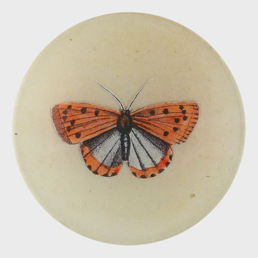 Coral Butterfly 4" Round