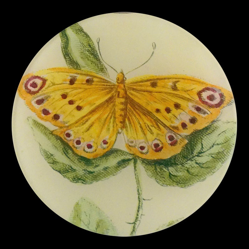 Yellow Butterfly 5-1/4" Round Plate