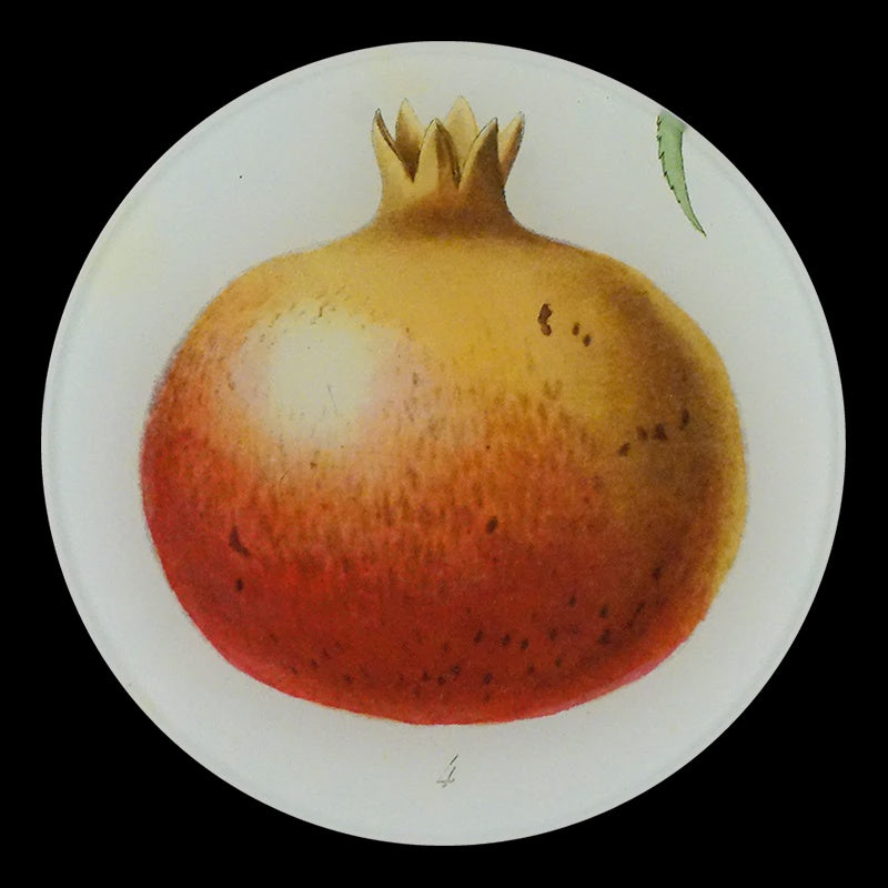 Pomegranate 4 Round Plate