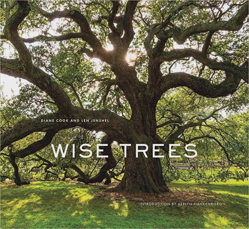 Wise Trees - Hachette