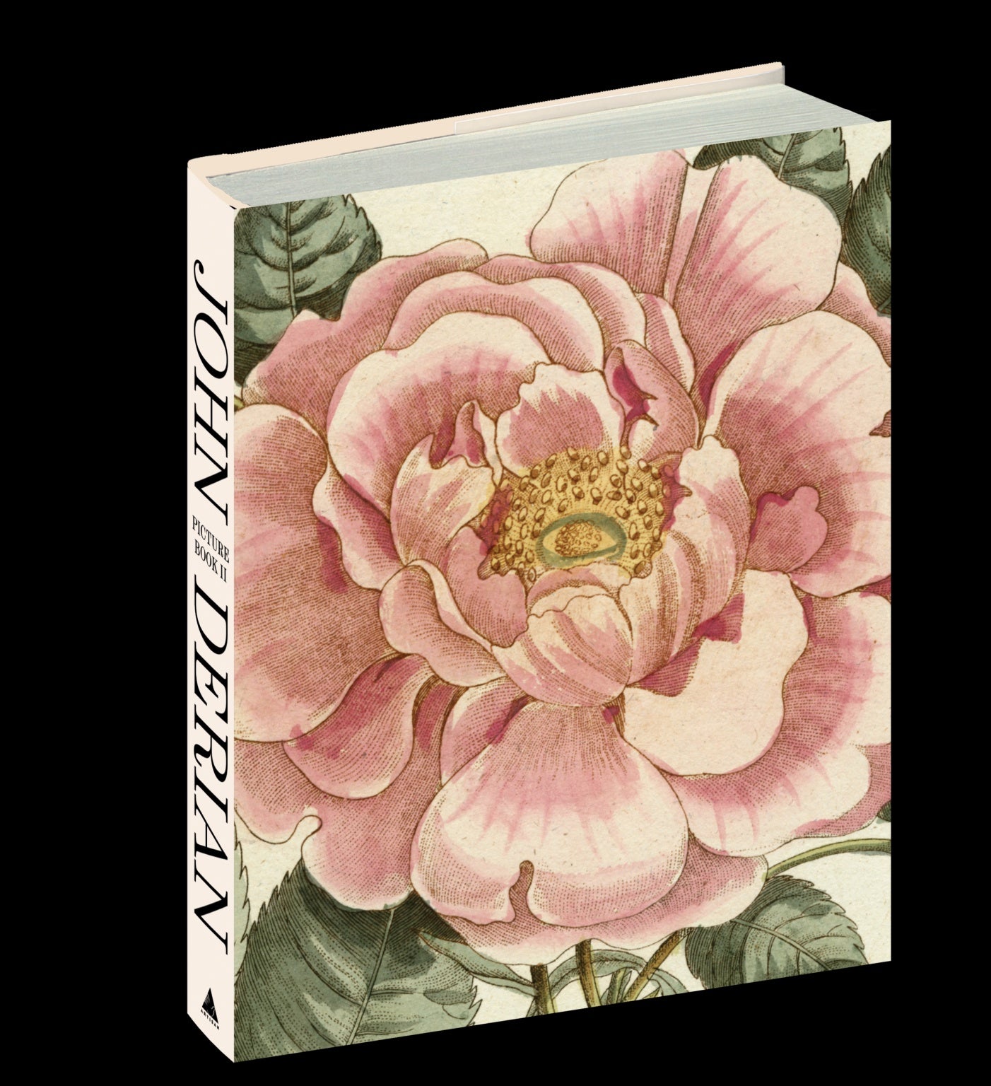 John Derian Picture Book II