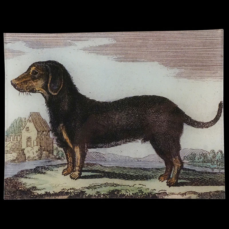 Dachshund Black 8 x 10.5" Rectangular Tray