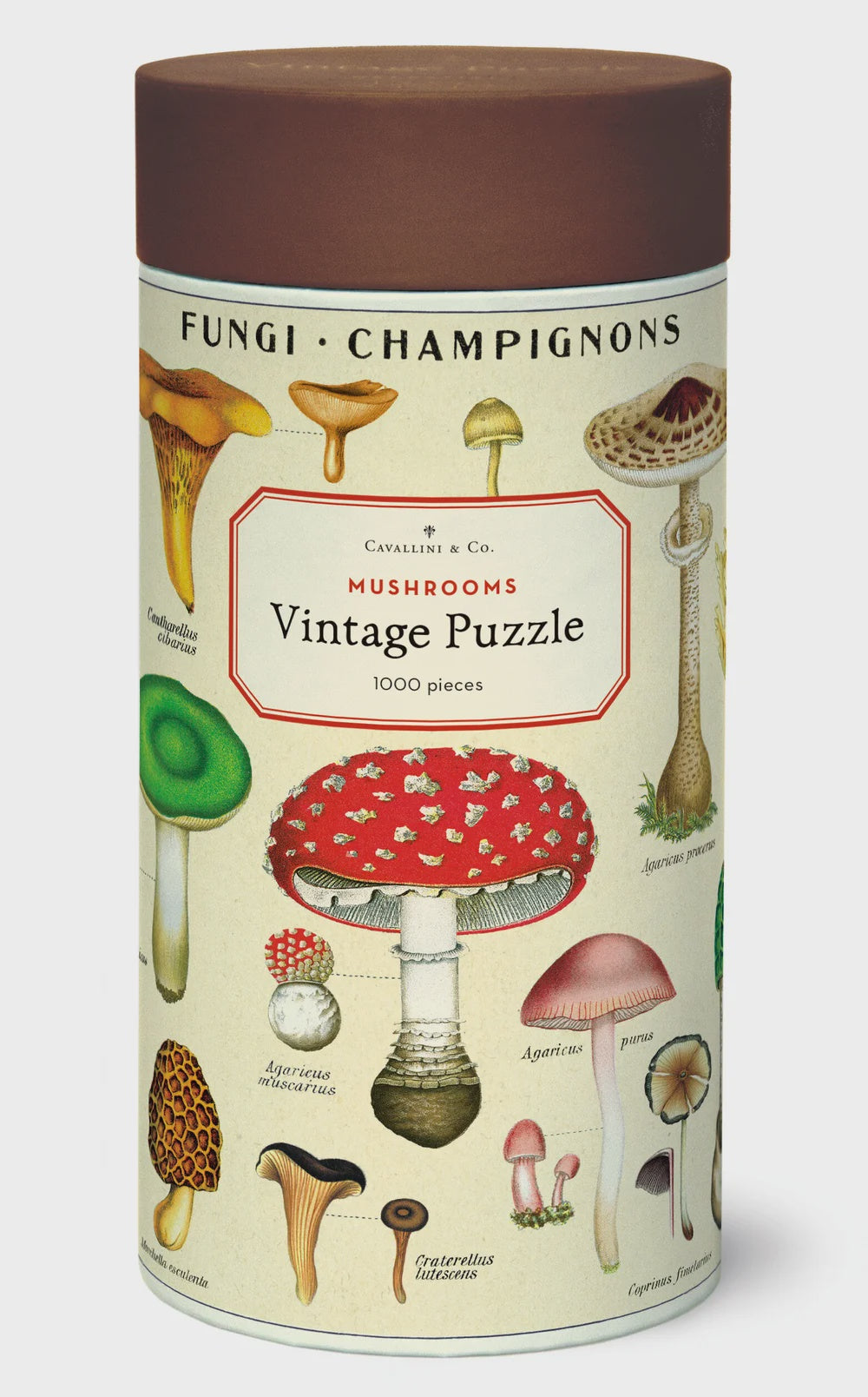 Mushrooms 1000 Piece Puzzle