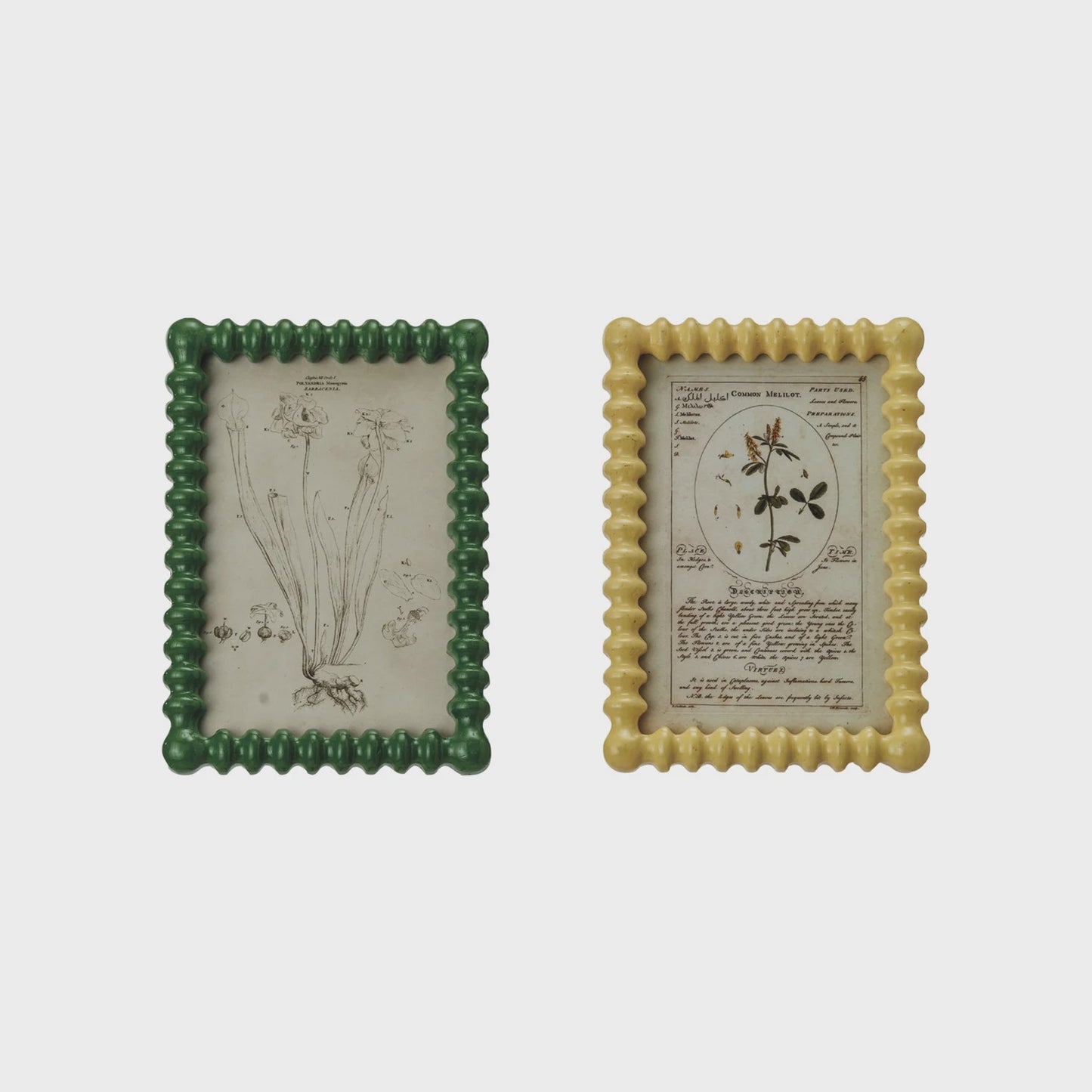 Picture Frame w/Vintage Reproduction Image