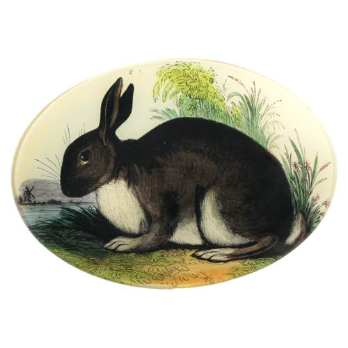 Rabbit Oval Plate