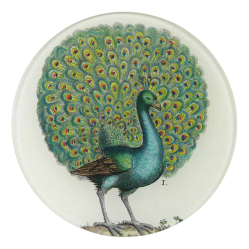 Coy Peacock Round Plate