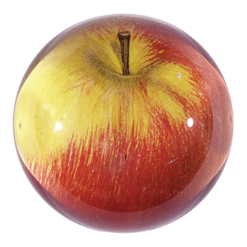 Apple (Red) Dome Paperweight