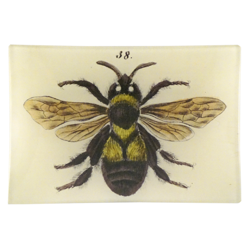 Bee 38 Mini-Tray