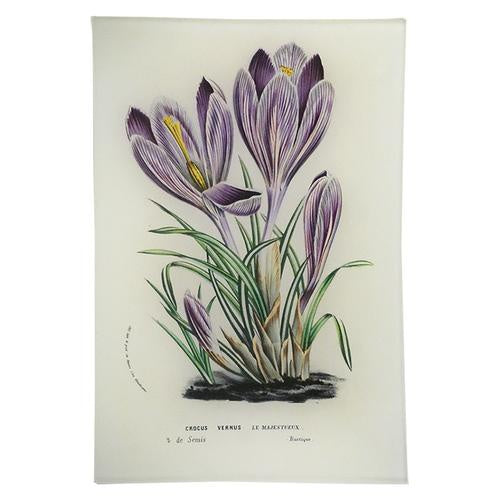 Crocus Vernus Rectangular Tray