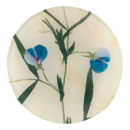 Lathyrvs (Blue Sweet Pea) Pressed Leaves Round Plate