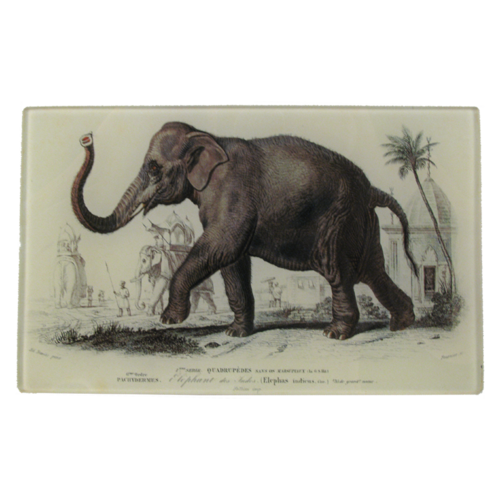 Elephant des Indes 5x8" Rectangular Tray