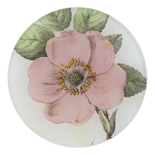 Rosa Canina Round Plate