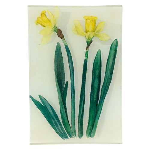 Jonquil 6x9" Rect. Tray