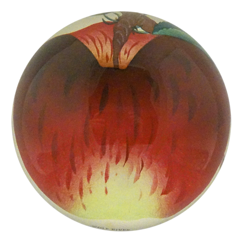 Whole Fruits Dome Paper Weight - Wolf River Apple