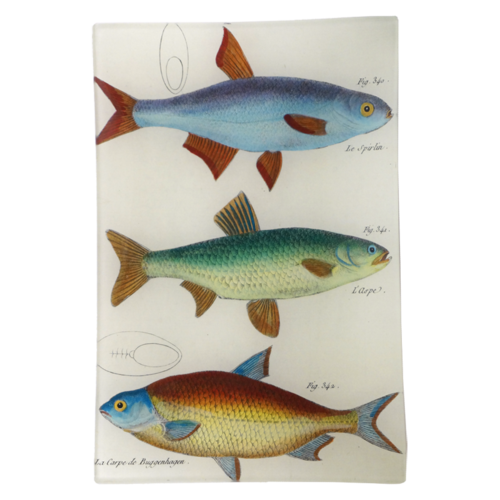 3 Fish Planche 82 Rectangular Tray