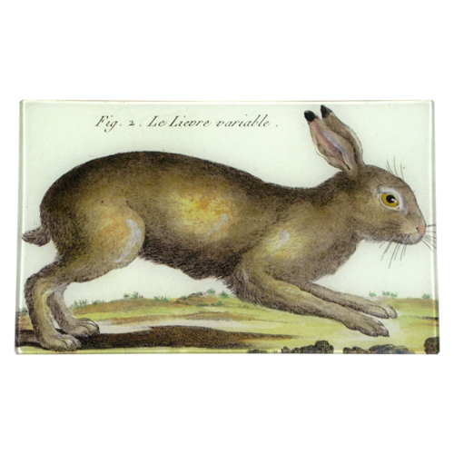 Rabbit 7x11.5" Rectangular Tray