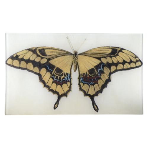 Yellow Wings Rectangular Tray