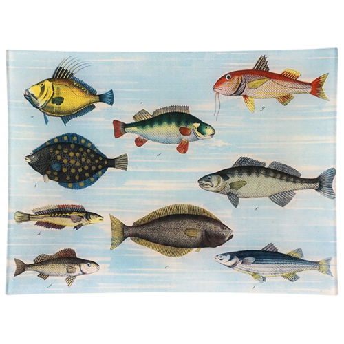 School of Fish 9x12" Rectangular Tray