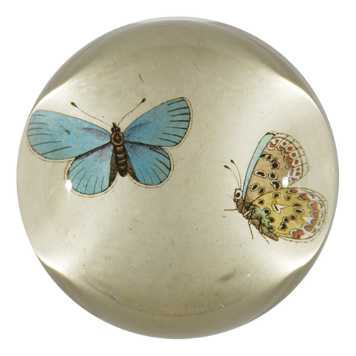 Blue Butterflies Dome Paperweight