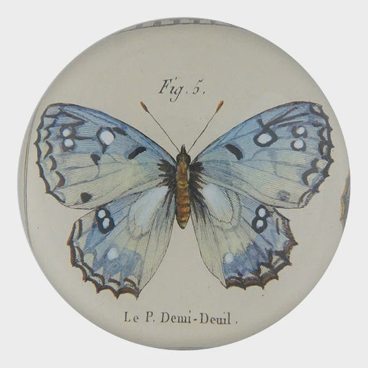 Fig. 5 Butterfly Dome Paperweight