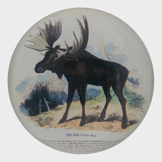 Moose Deer Dome Paperweight