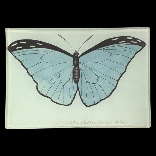 Blue Papilio (Butterfly) 4.5 x 6.5" Mini-Tray