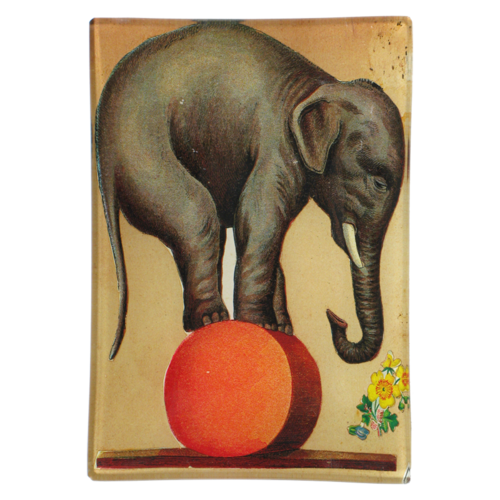 Circus Elephant Mini-Tray