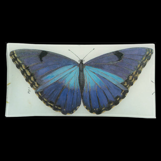 Blue Butterfly 6x 12" Pencil Tray