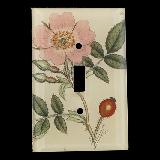 Pink Rose Close- Up Switch Plate Cover