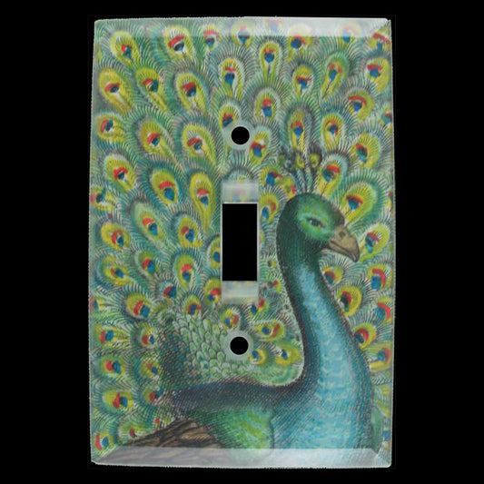 Coy Peacock Switch Plate Cover